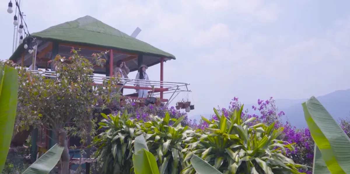 "Kết nối VTV8" - Kết nối tin tức văn h&oacute;a, di sản, lịch sử, du lịch.- Ảnh 2.