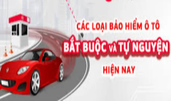 C&aacute;c loại bảo hiểm &ocirc; t&ocirc; tại Việt Nam: Bắt buộc v&agrave; tự nguyện kh&aacute;c nhau ra sao?- Ảnh 1.