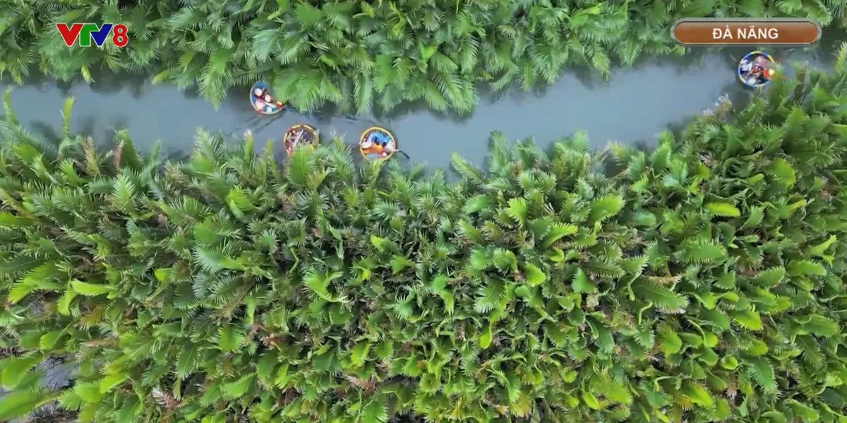 Đ&agrave; Nẵng c&ocirc;ng bố k&iacute;ch cầu du lịch v&agrave; chương tr&igrave;nh MICE 2026- Ảnh 3.