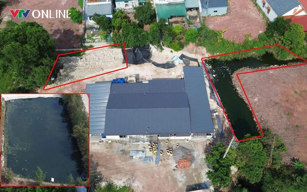 Cần sớm xử lý dứt điểm những cơ sở sơ chết hàu xây dựng trái phép.