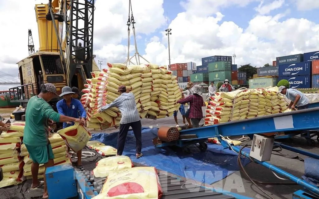 Xuất khẩu gạo trong bối cảnh nhiều khó khăn