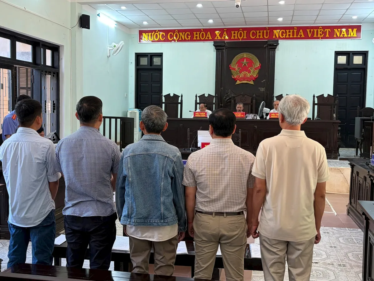 5 bị c&aacute;o lĩnh &aacute;n trong vụ khai th&aacute;c rừng sau ch&aacute;y g&acirc;y thiệt hại hơn 5,5 tỷ đồng- Ảnh 1.