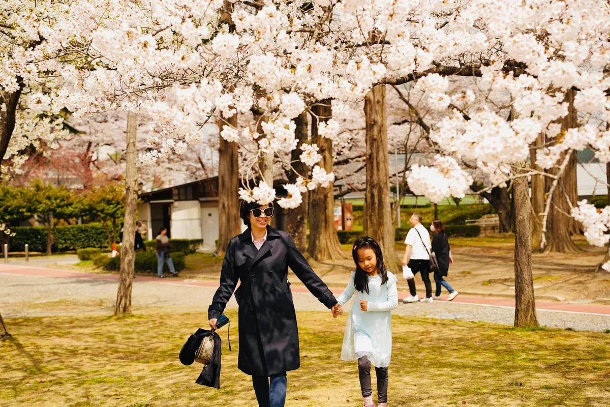 Điều g&igrave; đặc biệt trong lễ hội ngắm hoa anh đ&agrave;o của người Nhật?- Ảnh 4.