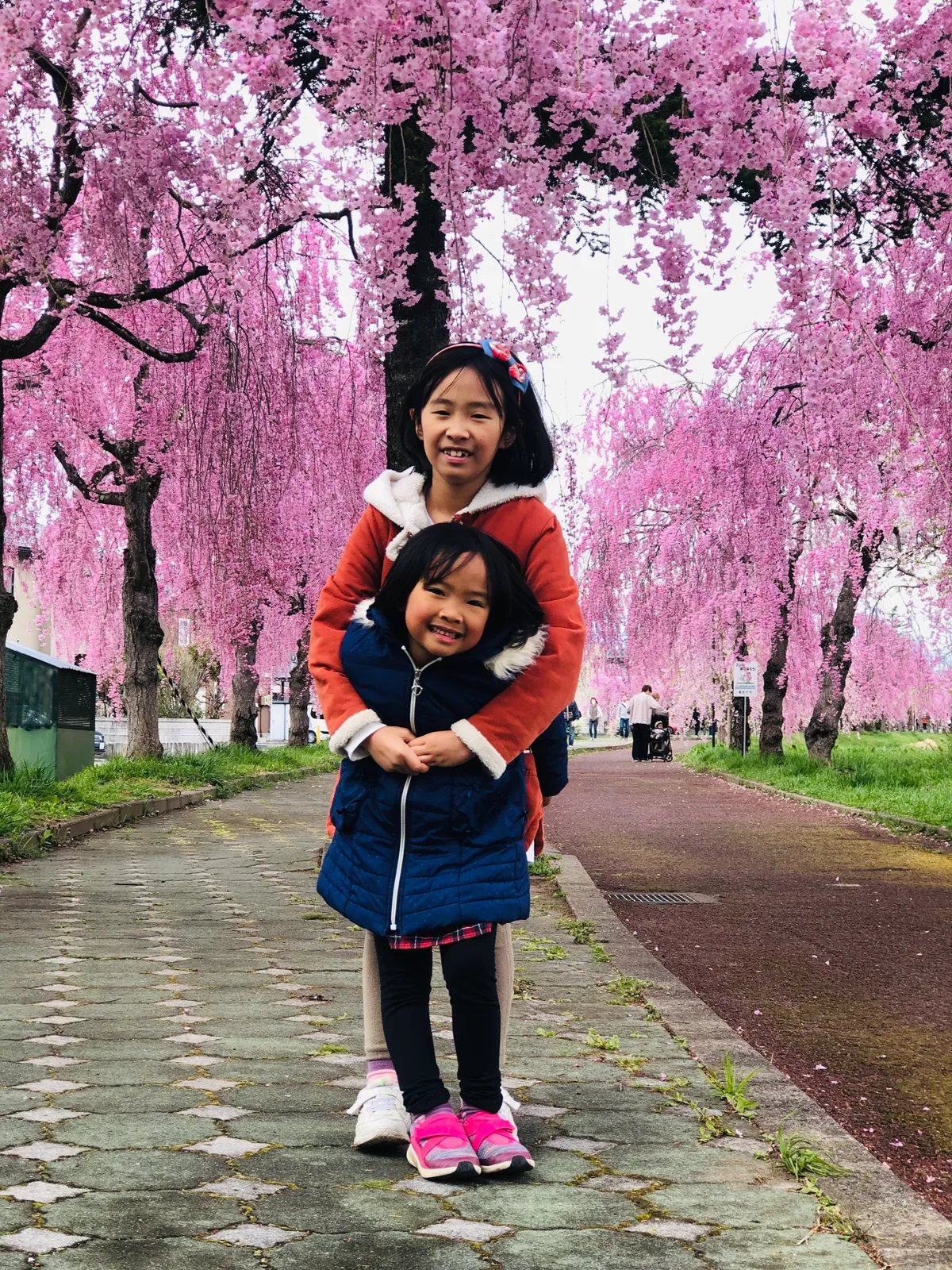 Điều g&igrave; đặc biệt trong lễ hội ngắm hoa anh đ&agrave;o của người Nhật?- Ảnh 3.