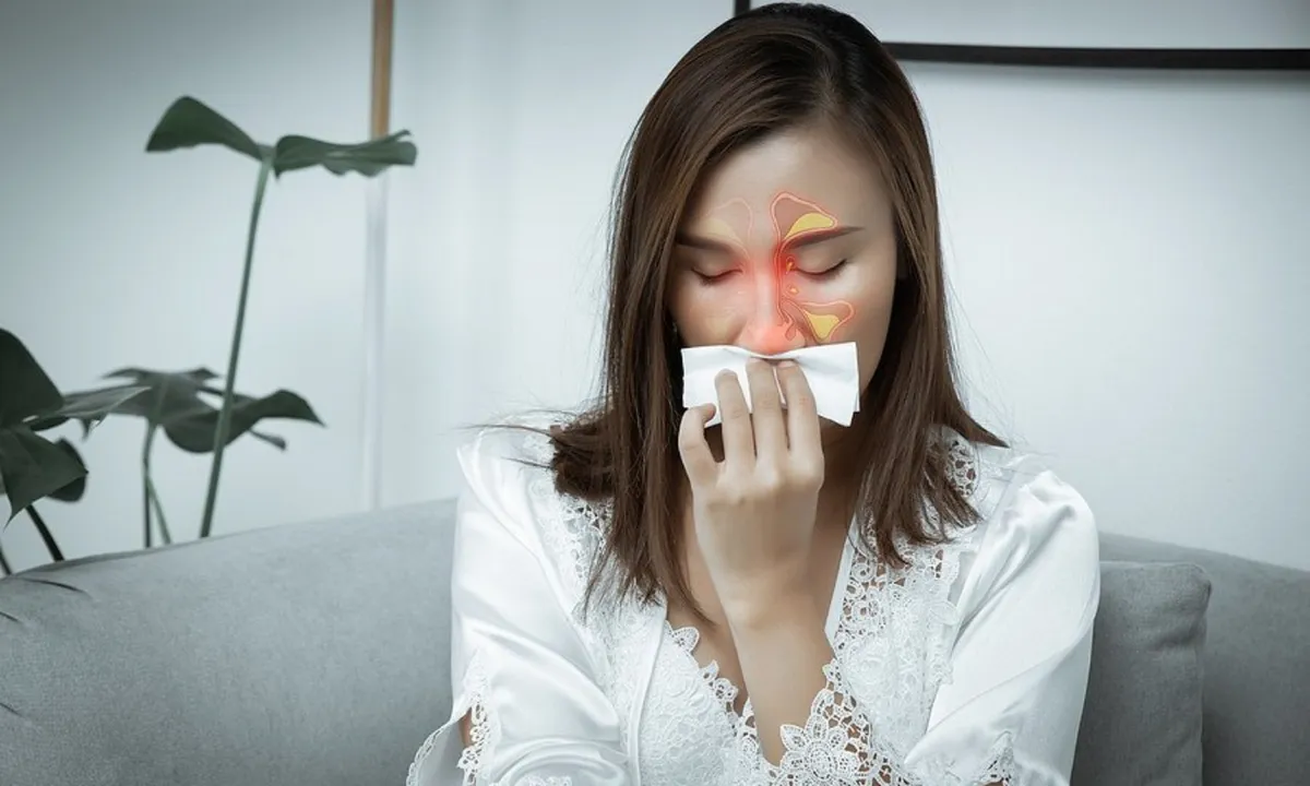 Nồm ẩm - se lạnh - nắng n&oacute;ng: Người di chuyển nhiều n&ecirc;n lưu &yacute; g&igrave; để bảo vệ xoang mũi?- Ảnh 1.