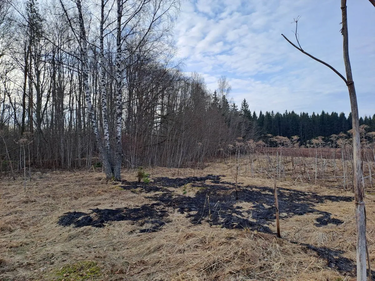 UAV Ukraine lạc hướng bay vào không phận Estonia, Latvia - Ảnh 1. UAV Ukraine lạc hướng bay vào không phận Estonia, Latvia - Ảnh 1.