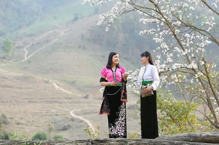 Kh&aacute;m ph&aacute; vẻ đẹp kỳ vĩ của m&ugrave;a hoa ban nở trắng rừng T&acirc;y Bắc- Ảnh 1.