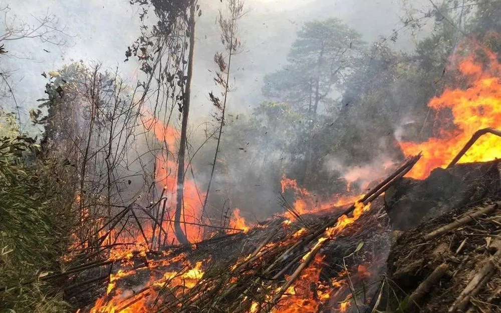 Chiến sĩ Biên phòng Hải An nhanh chóng dập tắt đám cháy rừng tràm tại Quảng Trị