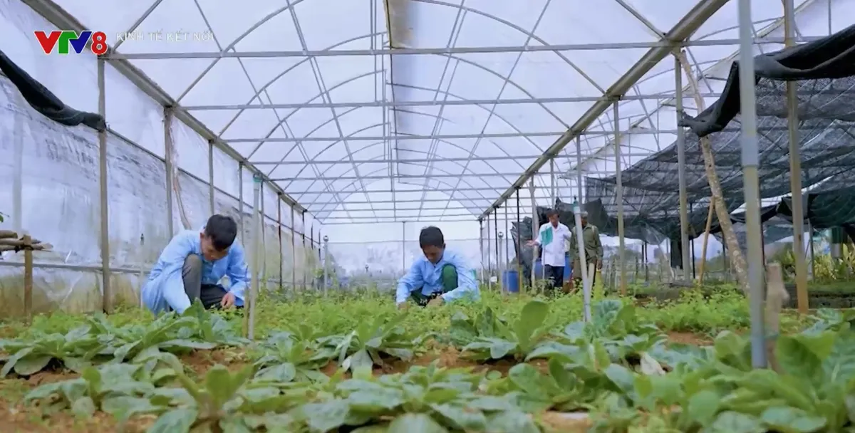 Hội thảo Quốc tế về c&acirc;y dược liệu v&agrave; hợp chất thi&ecirc;n nhi&ecirc;n- Ảnh 3.