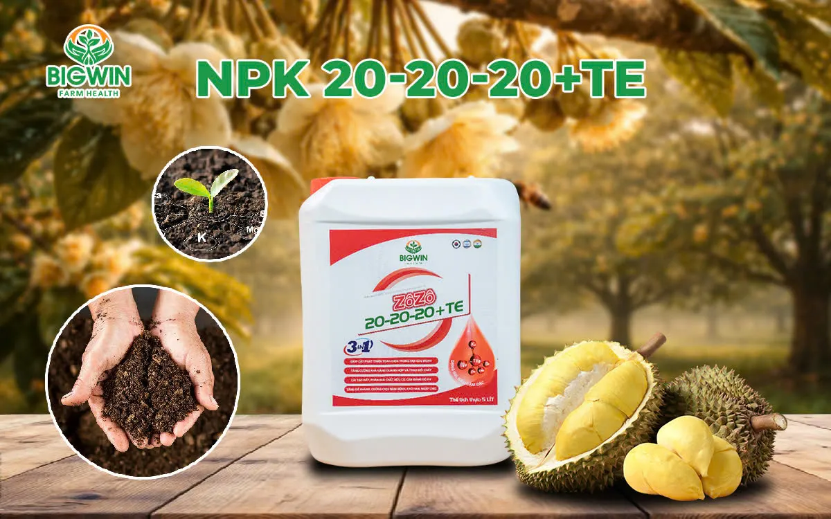 BIGWIN - Thịnh vượng bền lâu, nâng tầm giá trị nông nghiệp bền vững - Ảnh 3.