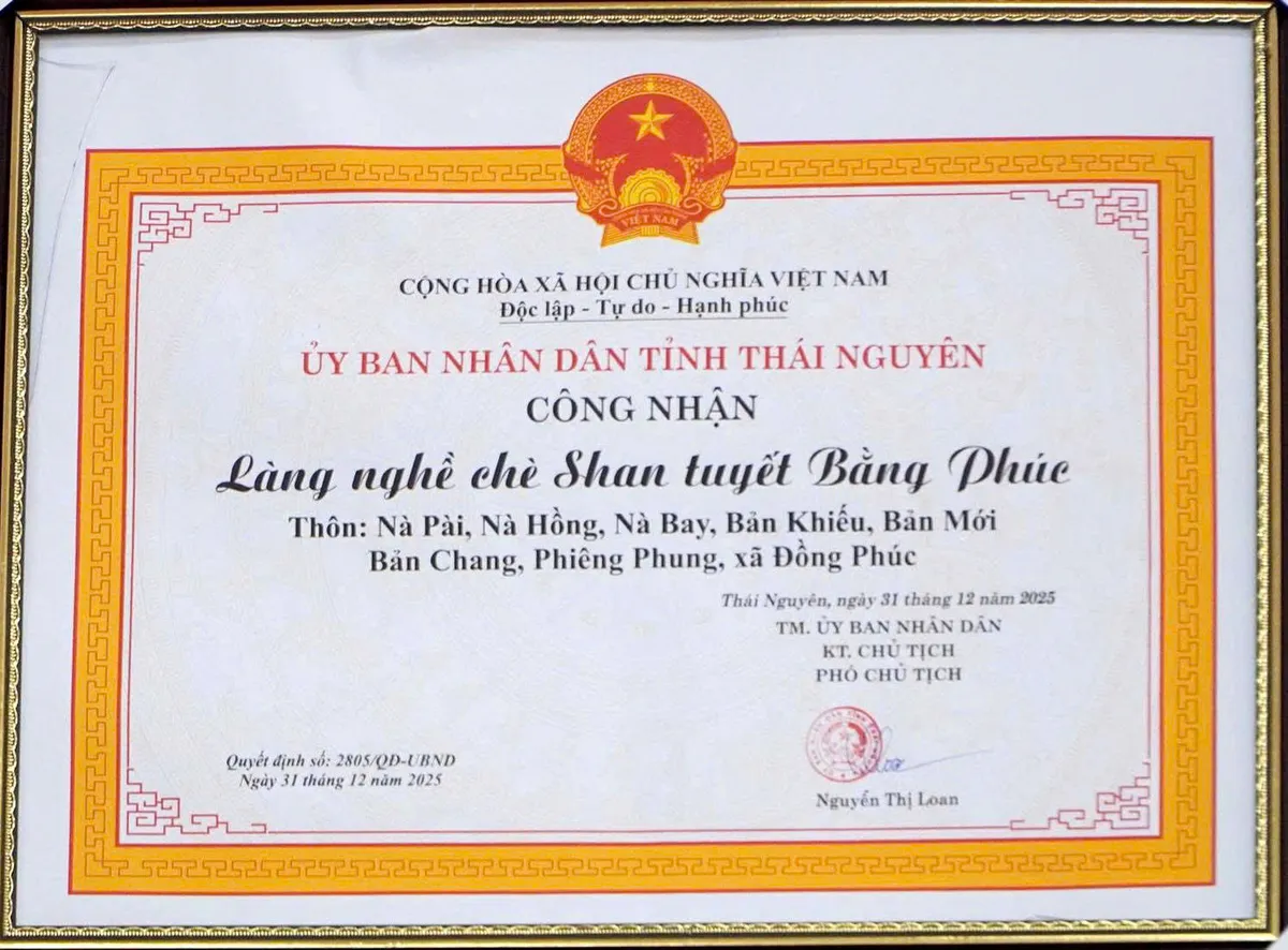 Thái Nguyên công nhận Làng nghề chè Shan tuyết Bằng Phúc - Ảnh 2.