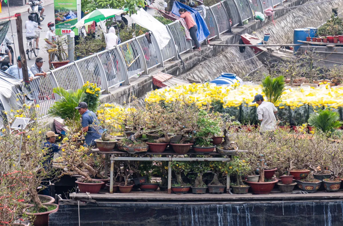 Thương hồ bến Bình Đông: Dòng chảy ký ức- Ảnh 7. Thương hồ bến Bình Đông: Dòng chảy ký ức- Ảnh 7.