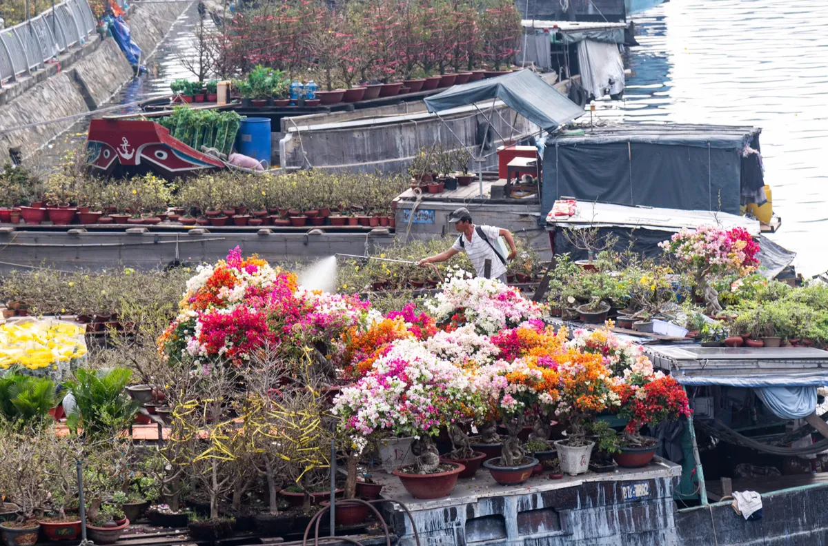 Thương hồ bến Bình Đông: Dòng chảy ký ức- Ảnh 9. Thương hồ bến Bình Đông: Dòng chảy ký ức- Ảnh 9.