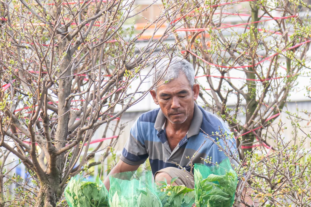 Thương hồ bến Bình Đông: Dòng chảy ký ức- Ảnh 11. Thương hồ bến Bình Đông: Dòng chảy ký ức- Ảnh 11.