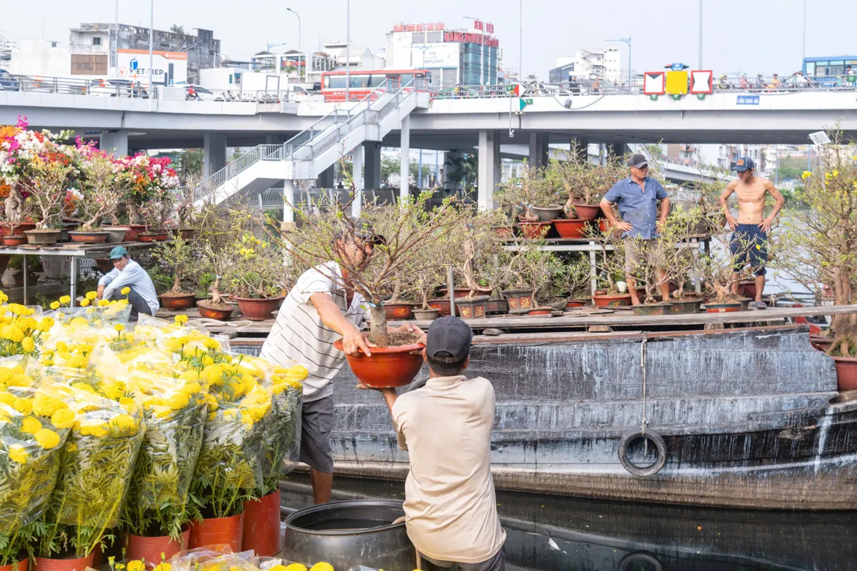 Thương hồ bến Bình Đông: Dòng chảy ký ức- Ảnh 8. Thương hồ bến Bình Đông: Dòng chảy ký ức- Ảnh 8.