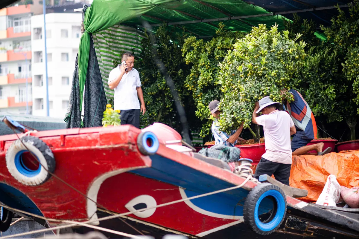 Thương hồ bến Bình Đông: Dòng chảy ký ức- Ảnh 6. Thương hồ bến Bình Đông: Dòng chảy ký ức- Ảnh 6.