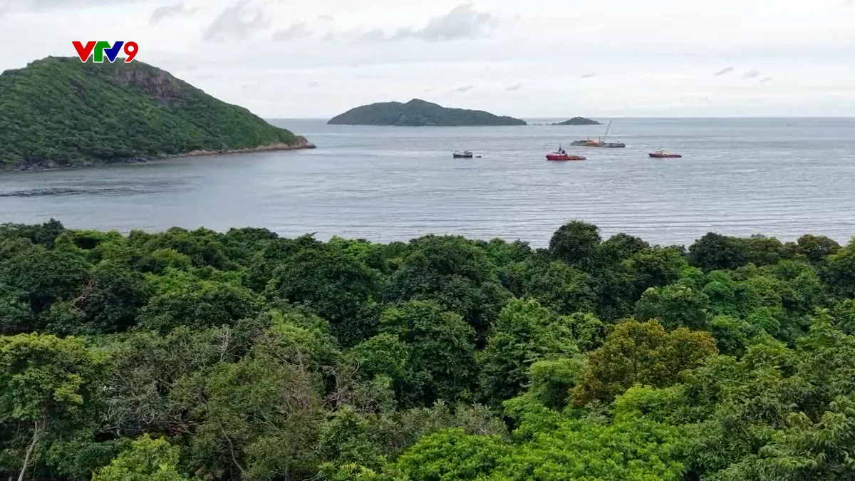 Bảo tồn du lịch xanh ở Côn Đảo