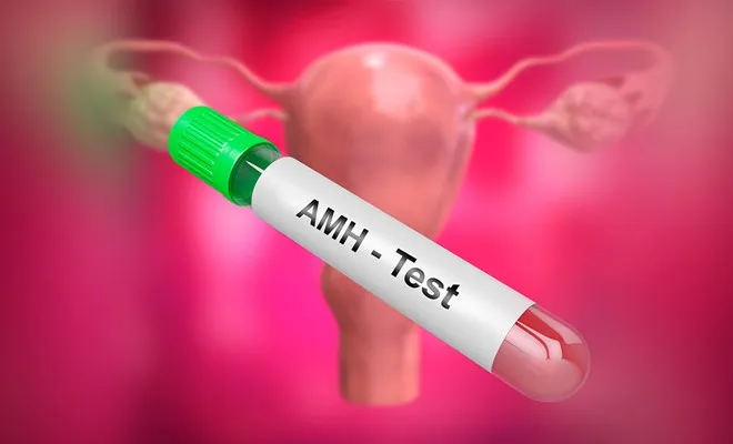 AMH thấp vẫn c&oacute; con khỏe nhờ IVF kh&ocirc;ng k&iacute;ch trứng- Ảnh 2.