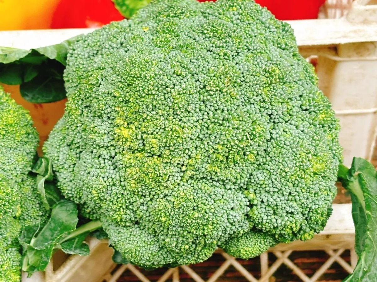 Những thực phẩm quen thuộc gi&uacute;p hỗ trợ ph&ograve;ng ngừa ung thư- Ảnh 3.