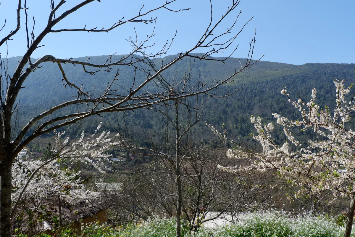 Những ch&agrave;ng trai bản địa thổi sức sống mới cho du lịch Y T&yacute;- Ảnh 4.