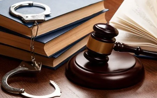 Cà Mau: Bị cáo trộm 4 bánh xe ô tô VinFast lĩnh án 9 tháng tù