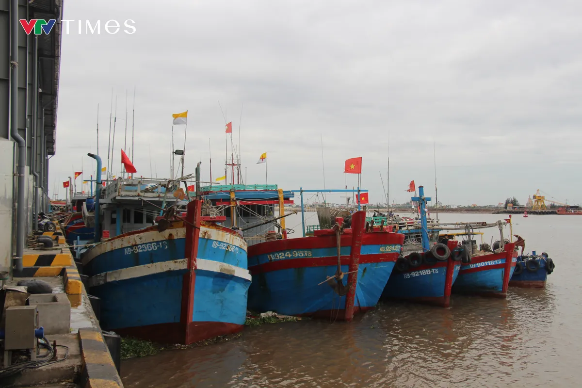 Ninh Bình gỡ “thẻ vàng” IUU: Chủ tàu cá đồng loạt lắp đặt thiết bị giám sát hành trình - Ảnh 2.