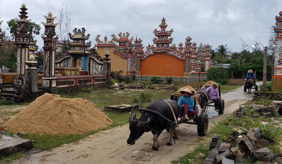 Những chiếc xe tr&acirc;u nơi miền c&aacute;t trắng- Ảnh 1.