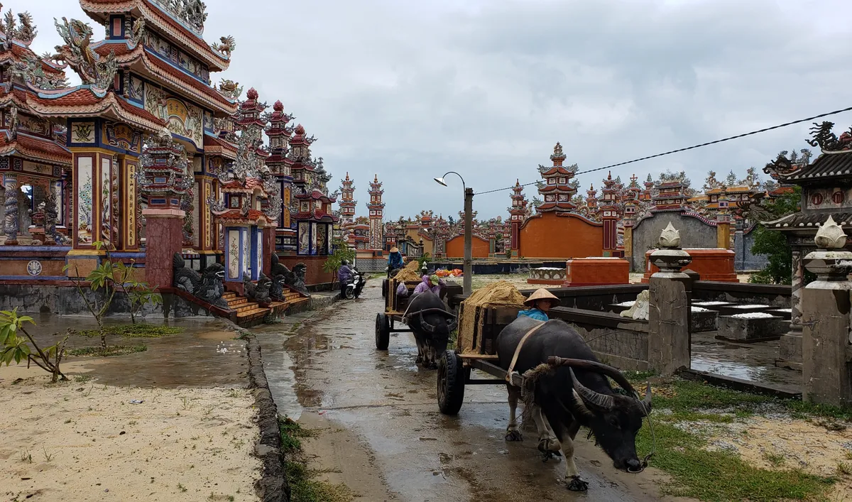 Những chiếc xe tr&acirc;u nơi miền c&aacute;t trắng- Ảnh 3.