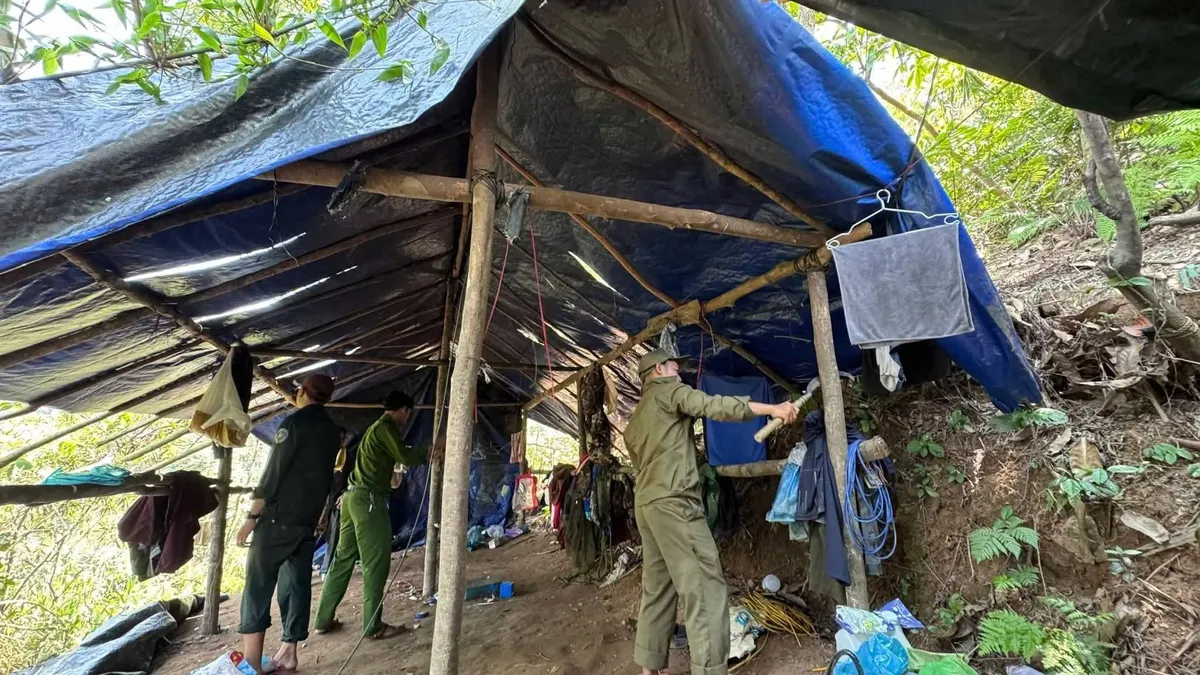 Đà Nẵng: Truy quét, xử lý khai thác khoảng sản trái phép trên địa bàn xã Trà Tân - Ảnh 2.