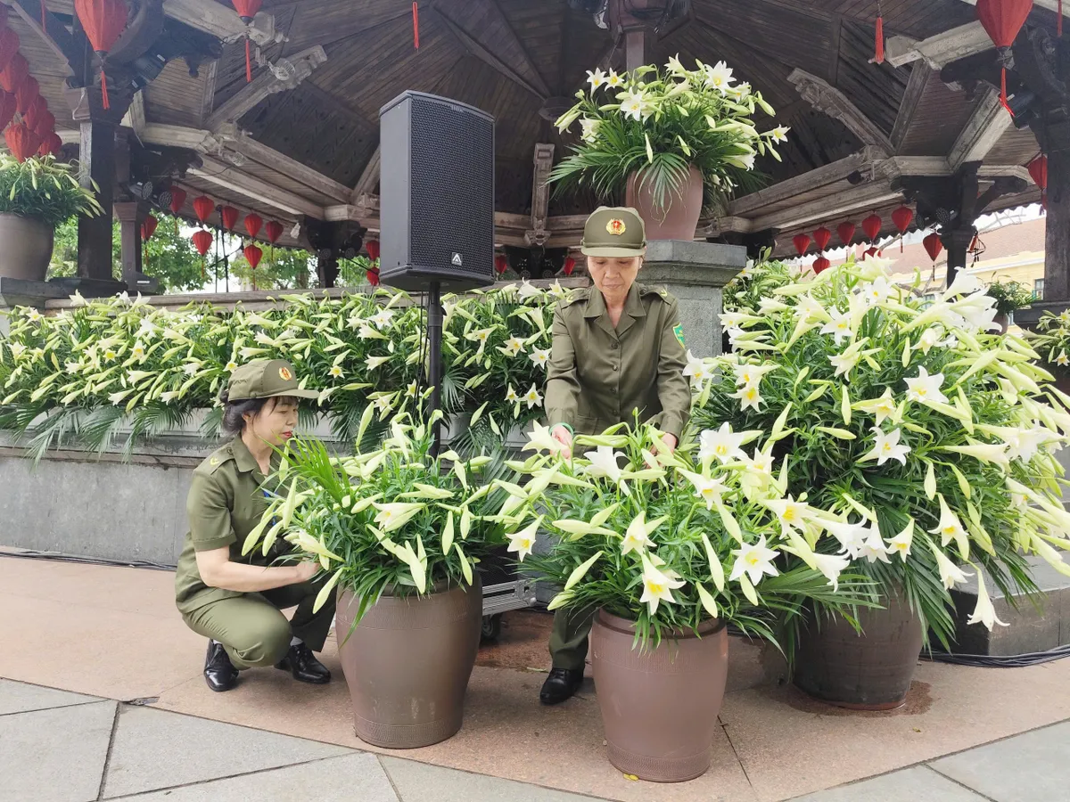 Hoa loa k&egrave;n phủ k&iacute;n Nh&agrave; B&aacute;t Gi&aacute;c trước giờ Live Concert &ldquo;H&agrave; Nội b&igrave;nh y&ecirc;n&rdquo; - Ảnh 2.