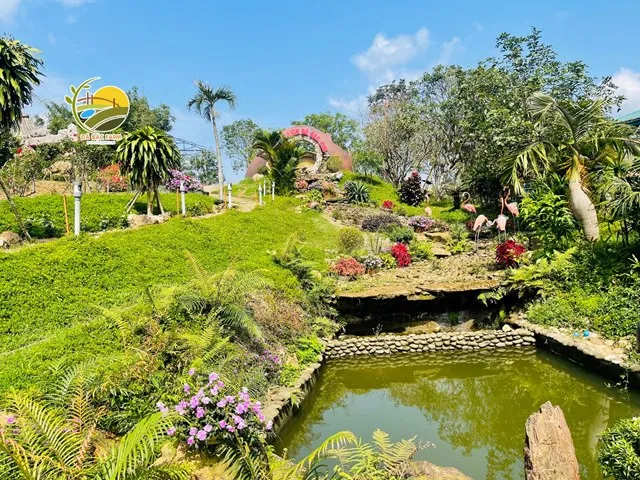 Hà Tĩnh tiên phong thí điểm hệ sinh thái du lịch số quốc gia- Ảnh 1. Hà Tĩnh tiên phong thí điểm hệ sinh thái du lịch số quốc gia- Ảnh 1.