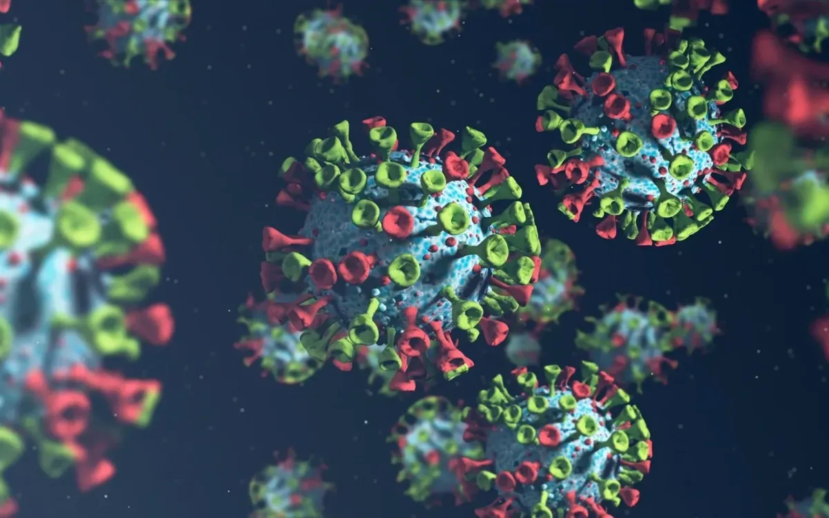 (Ảnh: Shutterstock)