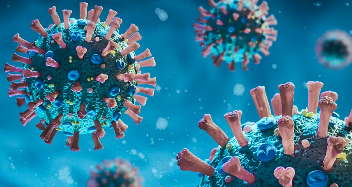 Biến thể COVID-19 BA.3.2 lây lan nhanh tại Mỹ- Ảnh 1. Biến thể COVID-19 BA.3.2 lây lan nhanh tại Mỹ- Ảnh 1.