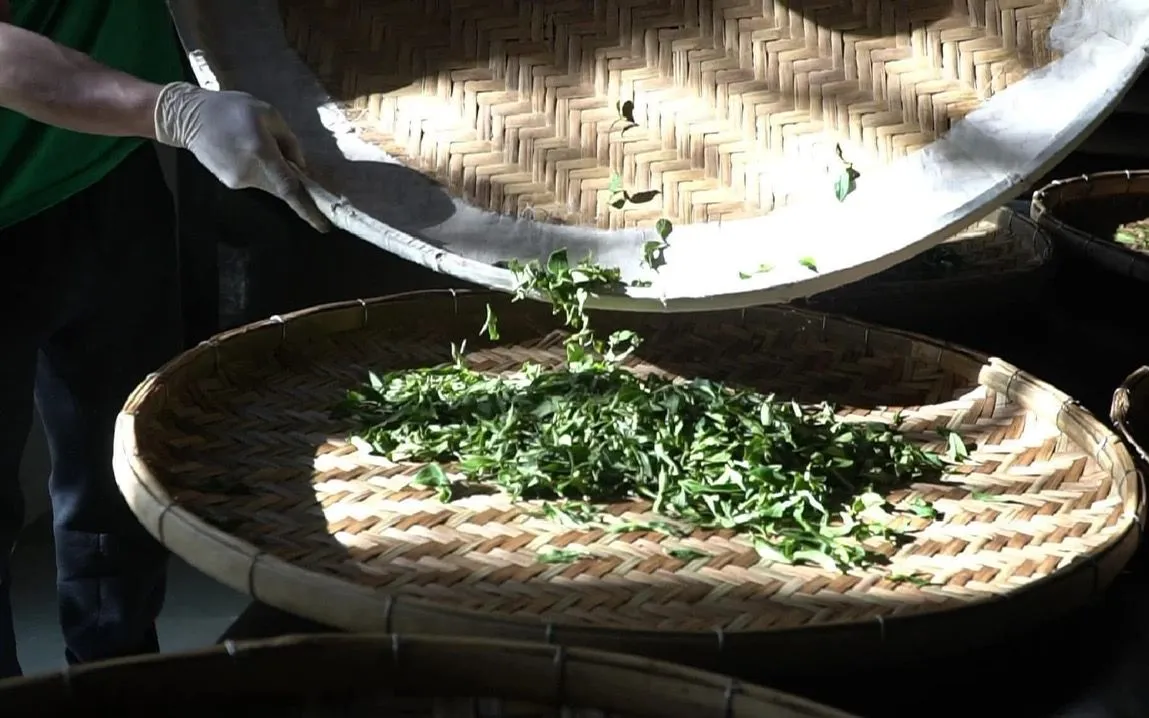 Trà Xuân - hương vị của đất trời đầu năm.