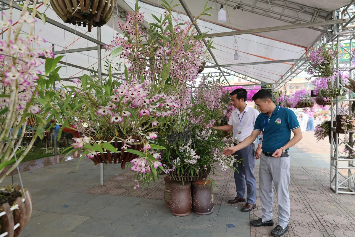 Lai Ch&acirc;u: Hương sắc lan rừng hội tụ &ndash; lan tỏa gi&aacute; trị sinh th&aacute;i v&agrave; văn h&oacute;a  - Ảnh 7.