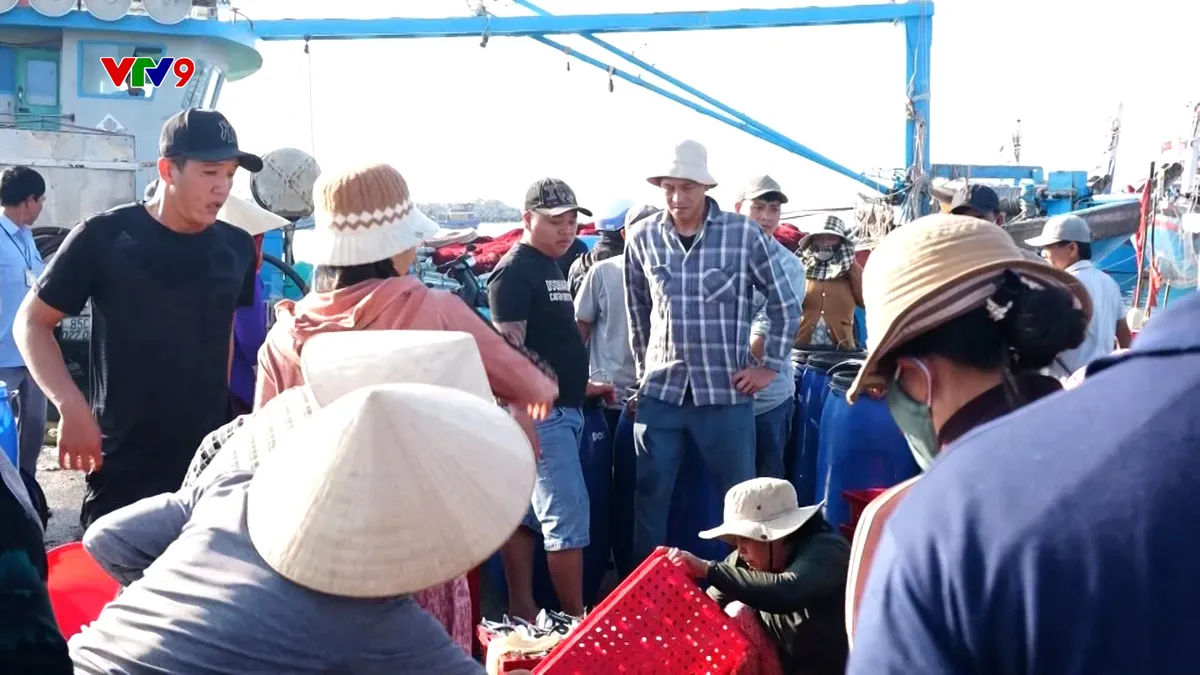 Kéo dài chuyến biển, giảm áp lực nhiên liệu