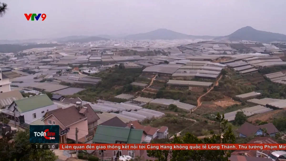 nhà kính đà lạt.jpg