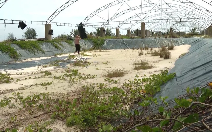 Nhiều hồ tôm tại vùng bãi ngang xã Ninh Châu, tỉnh Quảng Trị bị bỏ hoang do thua lỗ.