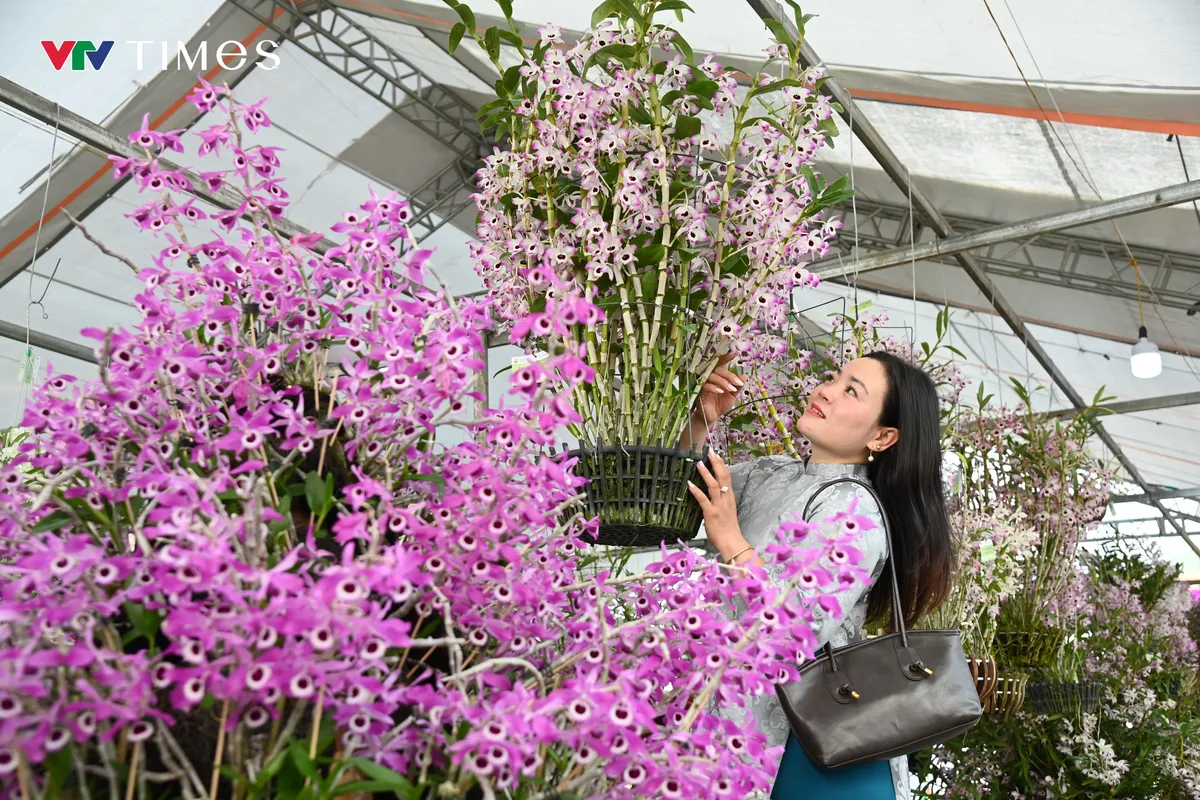 Lai Ch&acirc;u: Hương sắc lan rừng hội tụ &ndash; lan tỏa gi&aacute; trị sinh th&aacute;i v&agrave; văn h&oacute;a  - Ảnh 3.