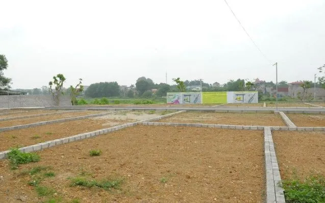 Ảnh minh họa. (Nguồn: TTXVN)