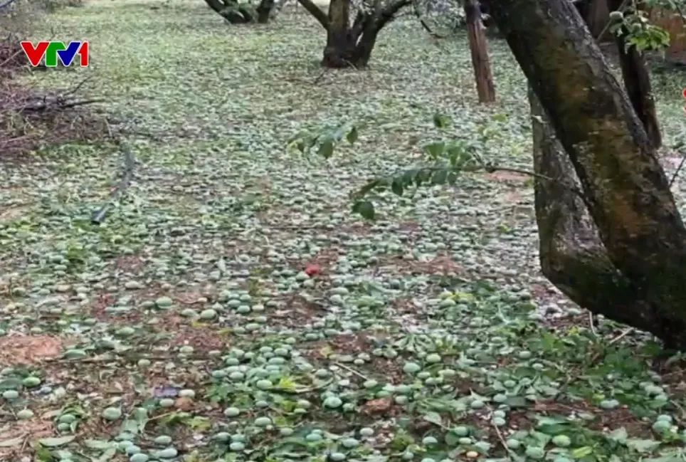 Mưa đá, dông lốc, sét gây 13 người thương vong, hơn 6.500 nhà hư hỏng - Ảnh 2.