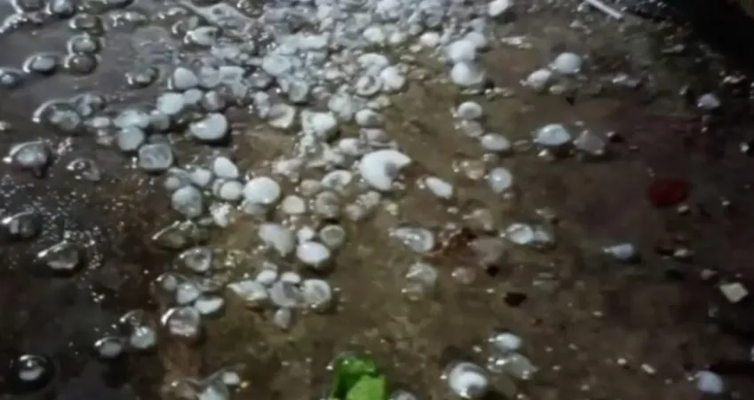 Dông mạnh kèm mưa đá nhiều nơi ở miền Bắc: Cây đổ, nhà tốc mái, người bị thương - Ảnh 1.