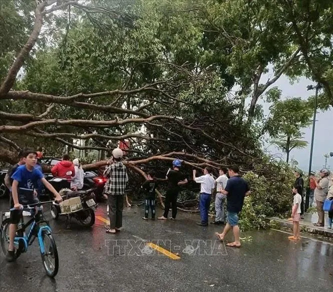 Dông lốc kèm mưa đá tại xã miền núi Nghệ An- Ảnh 1. Dông lốc kèm mưa đá tại xã miền núi Nghệ An- Ảnh 1.