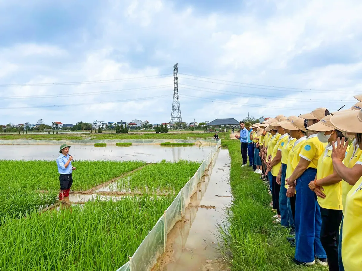 N&acirc;ng bước phụ nữ n&ocirc;ng th&ocirc;n Việt - Gieo y&ecirc;u thương, gặt th&agrave;nh c&ocirc;ng - Ảnh 2.