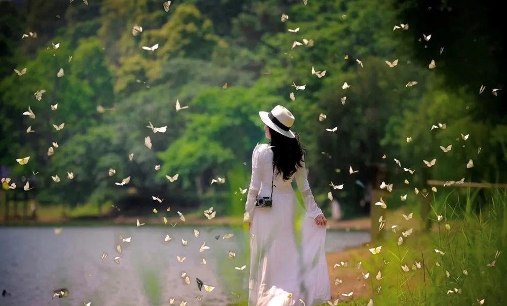 M&ugrave;a bướm rừng C&uacute;c Phương đến sớm, h&agrave;ng triệu c&aacute;nh bướm rợp trời- Ảnh 1.