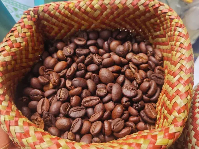 T&aacute;i định vị c&agrave; ph&ecirc; Robusta Việt Nam: Chuyển dịch từ sản lượng sang gi&aacute; trị- Ảnh 2.