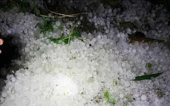 Những cơn mưa đá trút xuống, tạo thành đống tại xã Bảo Lâm (Cao Bằng) chiều tối 31/3. Ảnh: TTXVN