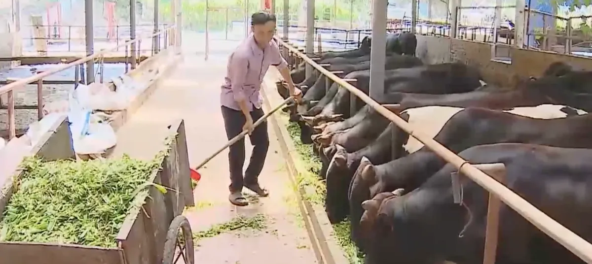 N&ocirc;ng nghiệp tuần ho&agrave;n: Giải ph&aacute;p "v&ograve;ng lặp" tối ưu chi ph&iacute; chăn nu&ocirc;i- Ảnh 1.