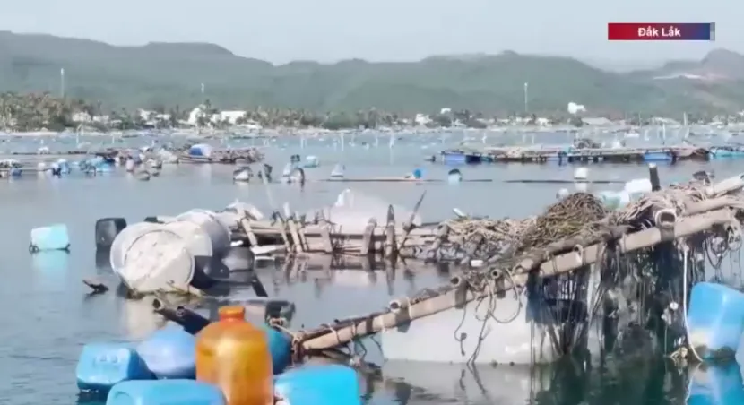 Ngổn ngang v&ugrave;ng nu&ocirc;i t&ocirc;m h&ugrave;m sau thi&ecirc;n tai - Ảnh 2.