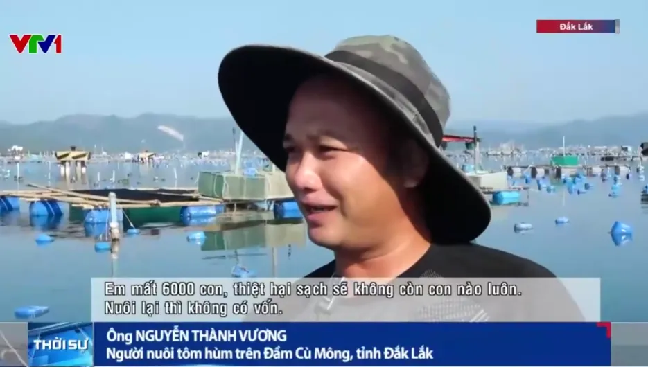 Ngổn ngang v&ugrave;ng nu&ocirc;i t&ocirc;m h&ugrave;m sau thi&ecirc;n tai - Ảnh 1.